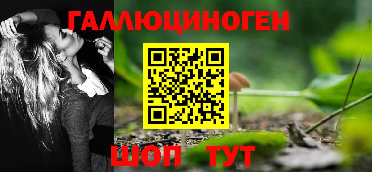 Тимашёвск  Галлюциногенные грибы мухоморы  Вход с VPN 